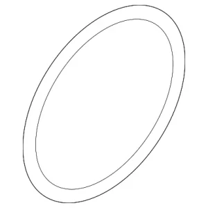 Adjust Motor O-Ring - Mazda (T301-12-257)