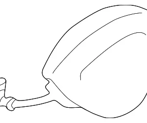 Driver Air Bag - Mazda (TB94-57-K00A-90)
