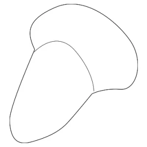 Lift Gate Glass Pin - Mazda (LC62-63-938)