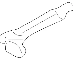Link - Mazda (GE5B-69-858)