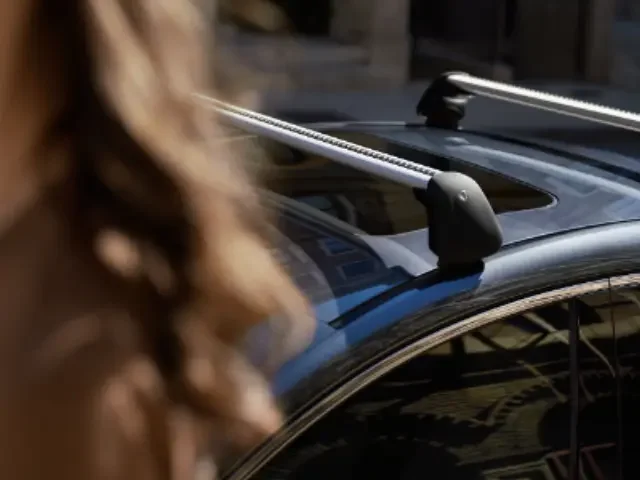 Roof Rack Ditch Molding - Right - Mazda (BCYH-50-9H0A)
