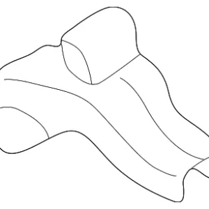 Roller Assembly - Mazda (LC62-72-2A0C)
