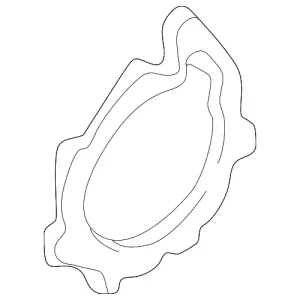 Water Pump Assembly Gasket - Mazda (AJ03-15-116)