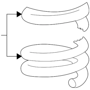Coil Spring - Mazda (1F20-34-011A)
