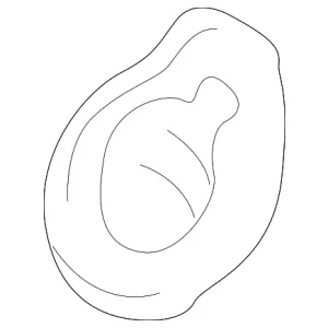 Switch Bezel - Mazda (LC62-55-321)