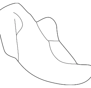 Mount Bracket Cover - Mazda (EC02-63-6B8B)