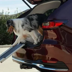 Pet Ramp - Mazda (C9N1-V9-230)