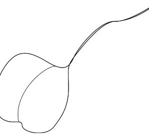 Box Spring - Mazda (T060-88-015)