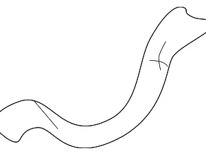 Oil Pan Gasket - Mazda (B541-10-428)