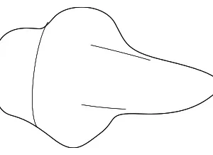 Wheelhouse Liner Fastener - Mazda (H260-50-6A7)