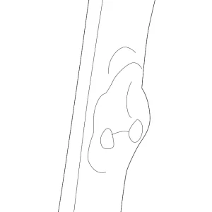 Adjuster Cover - Mazda (C001-57-969-27)