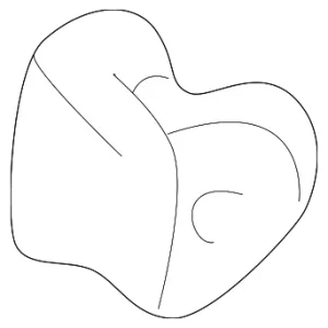Suspension Stabilizer Bar Bushing - Mazda (NE45-28-156A)