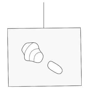 Bulb & Socket - Mazda (ZZL0-55-261C)