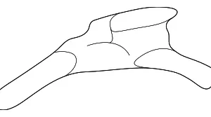 Molding Assembly Clip - Mazda (T002-50-6B9)