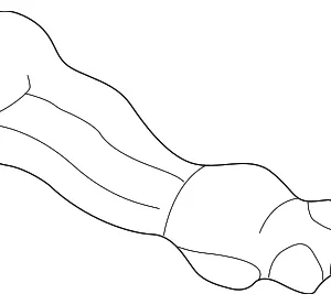 Roller Assembly - Mazda (LC62-72-2C0G)
