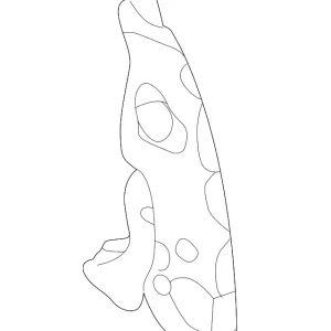 Side Panel - Mazda (B25R-71-113A)