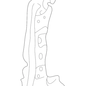 Pillar Reinforced - Mazda (EC01-70-030C)