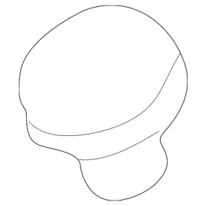 Wiper Arm Cap - Mazda (GD7A-67-395)