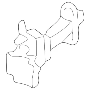 Door Check - Mazda (LC62-58-270A)