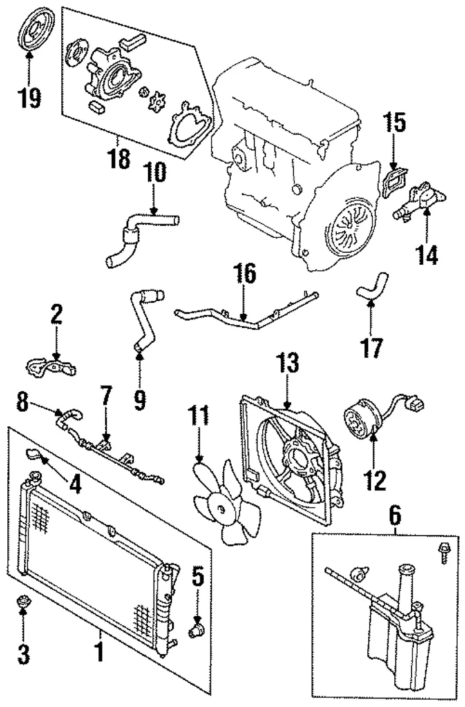 Lower Hose - Mazda (FSM1-15-185A)