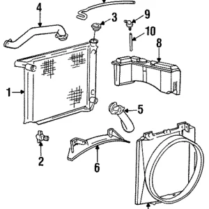 Upper Hose - Mazda (ZZM0-15-186)