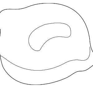 Cap - Mazda (UB39-51-815)