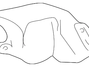 Splash Shield - Mazda (1F61-56-191)