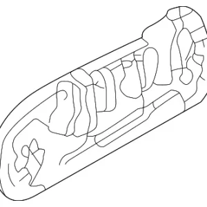 Handle, Outside - Mazda (C100-73-410B-52)