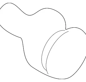 Pad Fastener - Mazda (NC10-58-954)