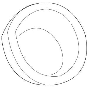 Seal - Mazda (GP9A-42-24ZA)