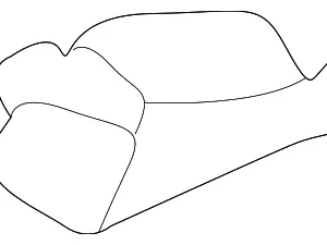 Sunroof Slide - Mazda (EC03-69-836)