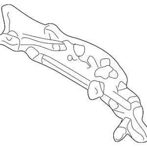 Adjuster - Mazda (B25D-88-153A)