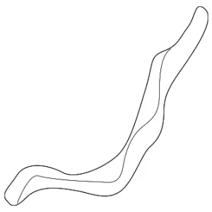 Engine Timing Cover Gasket - Mazda (KL01-10-557)
