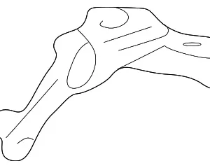 Molding Assembly Clip - Mazda (T001-50-6B9)
