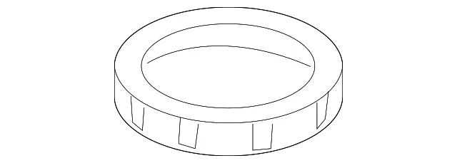 Retainer Ring - Mazda (ZZC0-42-161)