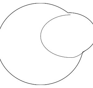 Shaft Ring - Mazda (ZZM1-14-108)