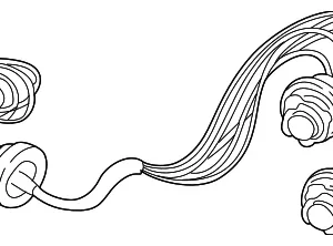 Socket - Mazda (T001-51-155C)