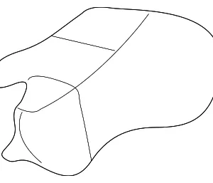Wiper Arm Cover - Mazda (G14T-67-395)