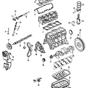 Valve Springs - Mazda (F210-12-125)