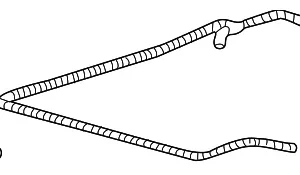 Tube - Mazda (1F62-13-942)