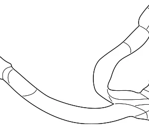 Lap Belt Assembly - Mazda (B30D-57-720-05)