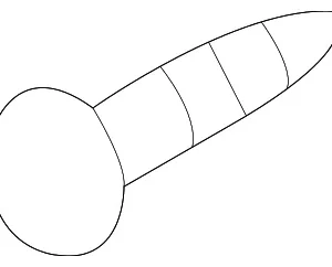 Fog Lamp Assembly Screw - Mazda (9CN6-00-516)