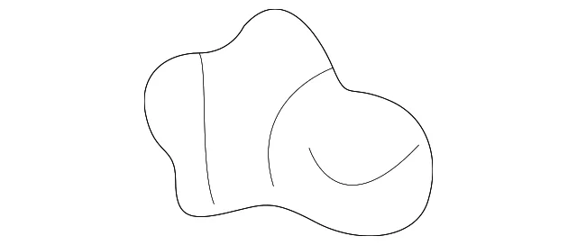 Bulb - Mazda (GE1R-55-431)