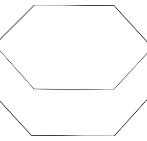 Hinge Nut - Mazda (9XF2-04-131M)