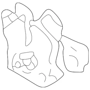 Latch - Mazda (EC01-56-62XK)