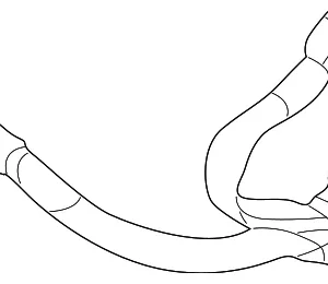 Lap Belt Assembly - Mazda (BN5V-57-720-66)