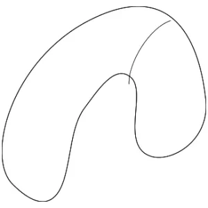 Retainer - Mazda (GT2G-59-495)