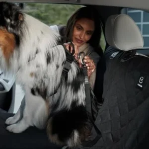 Pet Restraint - Mazda (KMV6-V9-211)