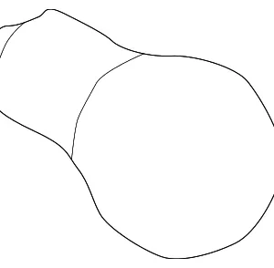 Tail Lamp Bulb - Mazda (9970-14-277)
