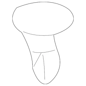 Insulator Retainer - Mazda (9926-40-758)